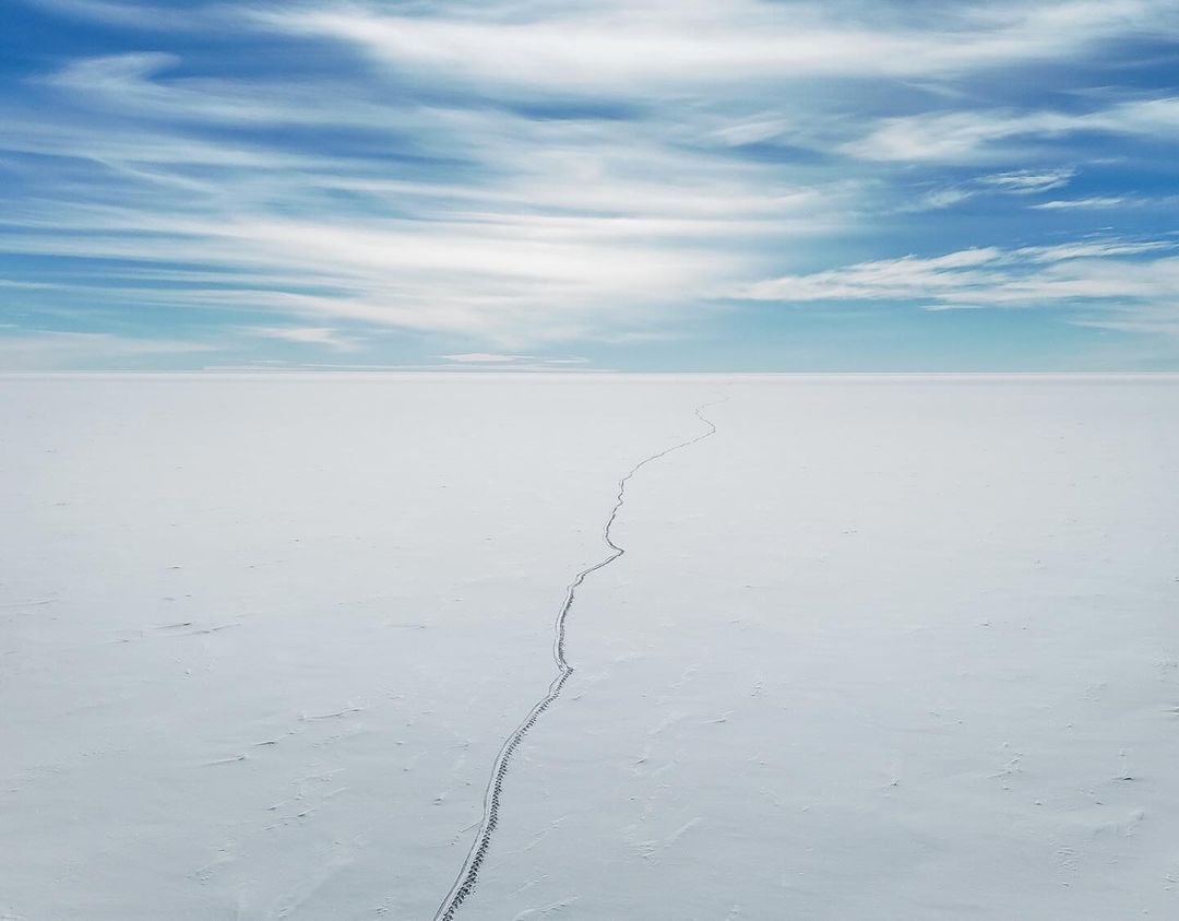 omar di felice antartica 2024